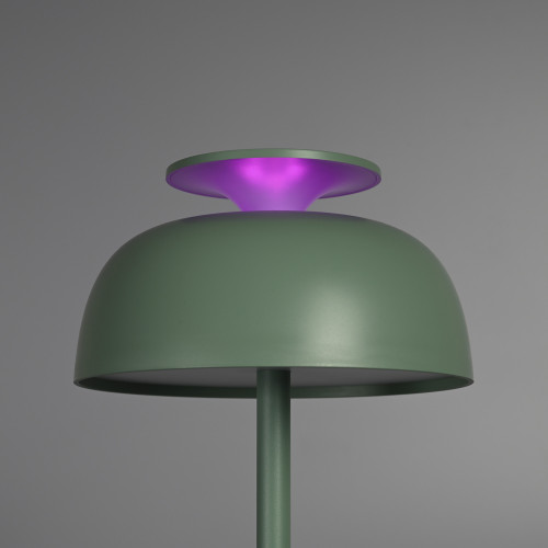 LED лампа настiльна з акумулятором VIDEX VL-TF24G 8W 4000K+RGB Green