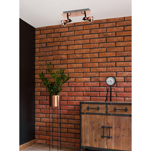Спот Candellux 92-60532 ANGUS