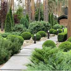 Архітектурний накладний світильник Ardero DH0140ARD TOBY під лампу чорний