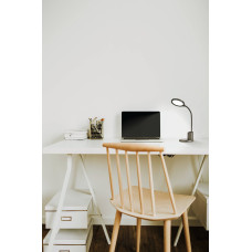 Настольная лампа на аккумуляторе REHAMNA EGLO 75723