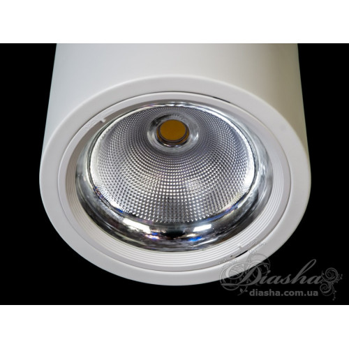 Накладной светодиодный точечный светильник 30W (арт. DB-SR225-COB-70W-W)