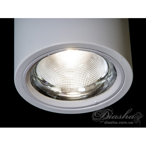 Накладной светодиодный точечный светильник 30W (арт. DB-SR225-COB-30W-W)
