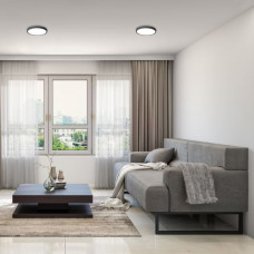 LED Світильник круглий накладний VIDEX 24W 5000K Black