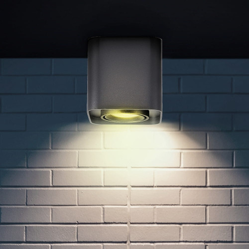 Точечный светильник Goldlux 321404 Xeno GU10 1x10W IP20 BK