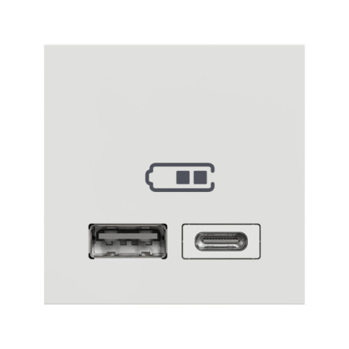Розетка USB 2.0 зарядна подвійна, 2.4А, A+C, 2 модуля, білий, Unica NEW NU301818