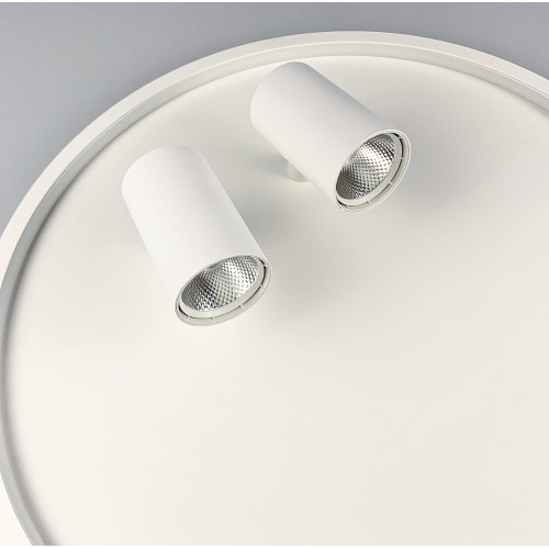 Стельова люстра LED в білому корпусі з направляючими спотами Line.F C 13/500
