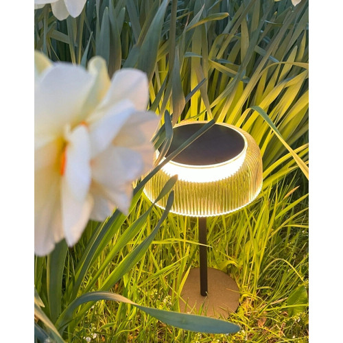 Уличный светильник на солнечной батарее Zuma Line Bluet LED 1x2.5W 2700K 200Lm IP44 черный