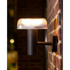 Уличный светильник на солнечной батарее Zuma Line Bluet LED 1x2.5W 3000K 200Lm IP44 черный
