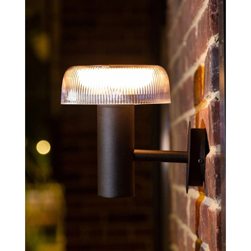 Уличный светильник на солнечной батарее Zuma Line Bluet LED 1x2.5W 3000K 200Lm IP44 черный