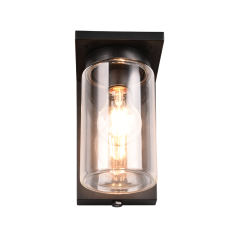 Вуличний настінний світильник TRIO 211660132 ARDILA IP44